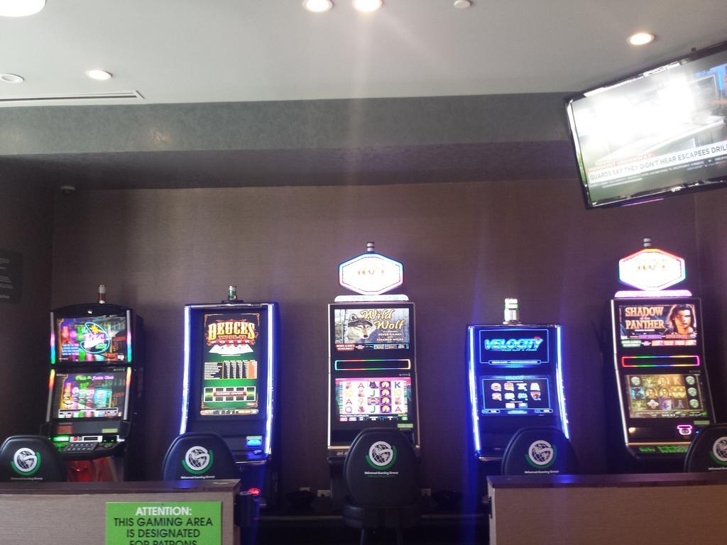 Wyndham Garden Elk Grove Village - O'Hare Eksteriør billede
