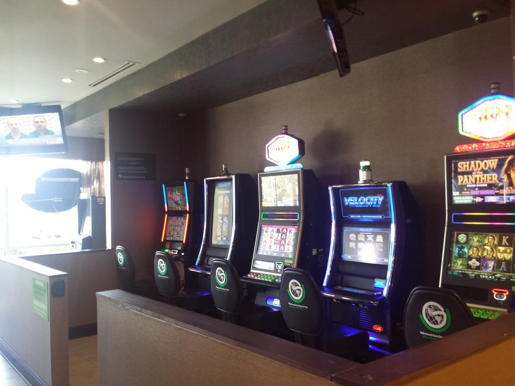 Wyndham Garden Elk Grove Village - O'Hare Eksteriør billede